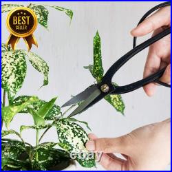 Japanese Bonsai Tool Kit Ashinaga Scissors Concave Cutter Set Japanese Bonsai Tool Kit Ashinaga Scissors Concave Cutter Set