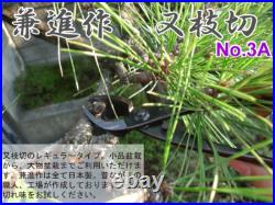 Kaneshin Bonsai Tool Set 174 5pcs Scissors Tweezers Cutter for Small-Medium