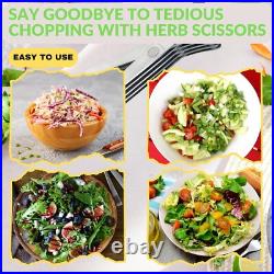 Stainless Steel 5 Blade Professional Shredding Scissors Sharp Herb Kitchen Tool