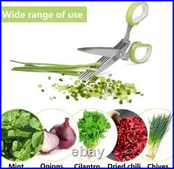Stainless Steel 5 Blade Professional Shredding Scissors Sharp Herb Kitchen Tool