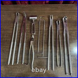 Veterinary Equine Dental Tool Set Horse Dental Equipment Stainless Steel