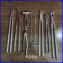 Veterinary Equine Dental Tool Set Horse Dental Equipment Stainless Steel