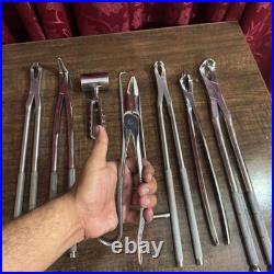 Veterinary Equine Dental Tool Set Horse Dental Equipment Stainless Steel