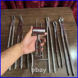 Veterinary Equine Dental Tool Set Horse Dental Equipment Stainless Steel