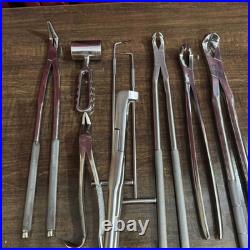Veterinary Equine Dental Tool Set Horse Dental Equipment Stainless Steel